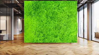 green texture background Wall mural