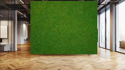 Green grass pattern and texture for background, top view background of garden bright grass concept. Wall mural