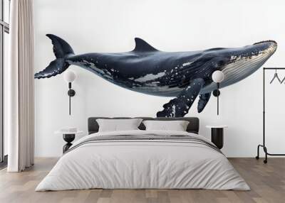 A whale isolated on white and transparent background Wall mural