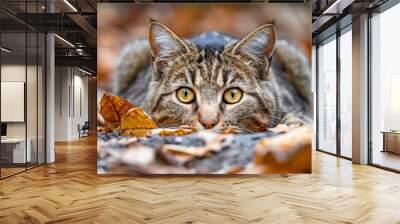 Curious Cat Hiding in Autumn Leaves Wall mural