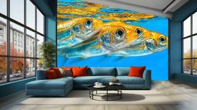 Group of golden fish swimming under clear blue water surface Wall mural