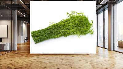 bunch of fresh green acacia Wall mural