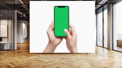 Hand using the phone green screen rice background. Wall mural