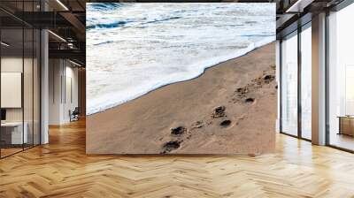 The horse footprints on the sand are a beautiful and powerful sight. It can convey a variety of meanings, including happiness, suffering, love, attachment, and the meaning of life. Wall mural