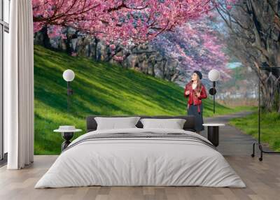 Asian women look at cherry blossoms in a park, a romantic walkway with cherry blossoms in Japan. Wall mural