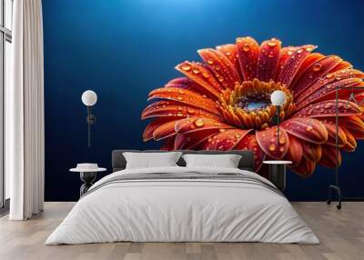 Photograph of orange and red flower with water droplets against dark blue background with selective focus Wall mural