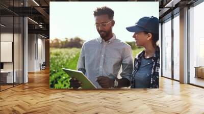 Modern farmer working on a tablet on farm land checking and looking at green harvest progress with online app in harvesting season. Male and female farming workers happy with agriculture lifestyle Wall mural