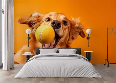 Portrait of dog catching ball on orange background. Excited and playful pet Wall mural