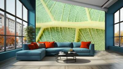 green leaf texture Wall mural