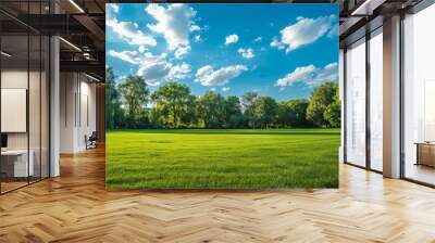 An open grassy field in a public park, with well-kept grass and a backdrop of mature trees and blue sky. Wall mural