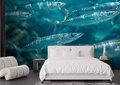 An underwater photograph of a school of barracuda swimming in formation, their streamlined bodies shimmering in the clear blue water. Wall mural