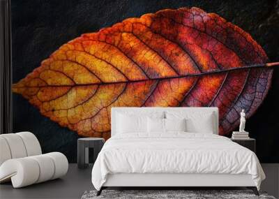 Close-up of a single autumn leaf with rich colors and visible textures, showcasing fall natural beauty Wall mural