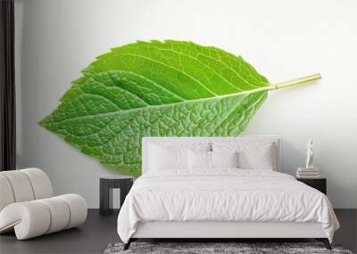 Close-up of a single fresh mint leaf isolated on white, perfect for eco-friendly product ads Wall mural