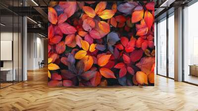 Colorful autumn foliage with vibrant red and orange leaves. Wall mural