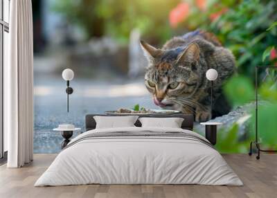 Contented cat enjoying a meal, savoring each bite with satisfaction, epitomizing the joy of feline dining. Wall mural