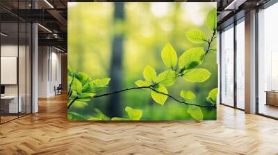 Forest in spring with new growth and vibrant green leaves, fresh and serene Wall mural