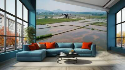 High-angle shot of a drone flying over a rice field, distributing seeds evenly across the water-logged paddies. Wall mural