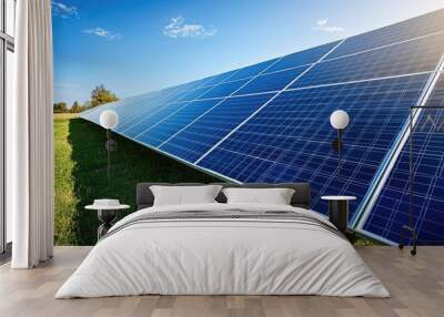 Solar Panels on Grass Under Clear Sky Wall mural