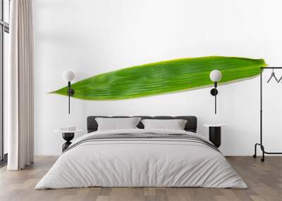 bamboo leaf green isolated close up on white background Wall mural