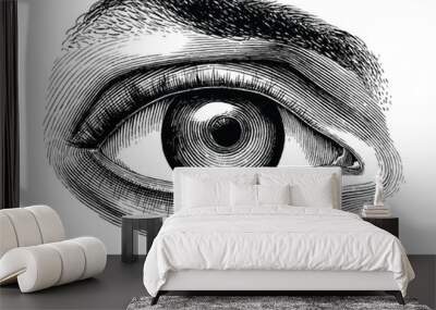 Anatomy of human eye hand draw vintage clip art isolated on white background Wall mural