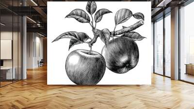 Apple branch hand draw vintage clip art isolated on white background Wall mural