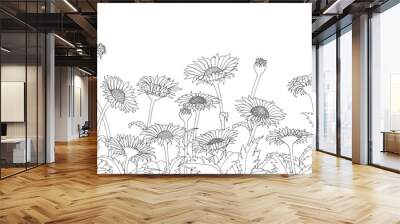 Daisy field outline sketch hand drawing on white background Wall mural