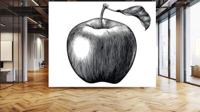 Gala apple fruit drawing vintage clip art isolated on white background Wall mural