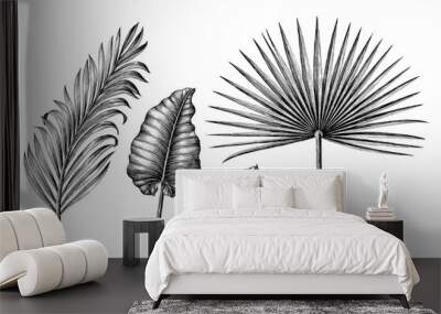 Palm leaf collection vintage engraving illustration clip art isolated on white background Wall mural