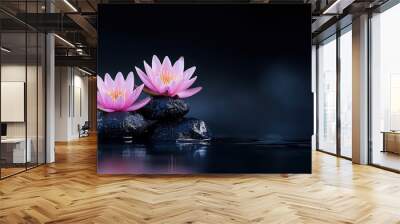 Two pink lotus flowers on smooth stones in serene water, softly lit ambiance. Wall mural