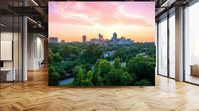 Downtown Raleigh, North Carolina at sunrise. Wall mural