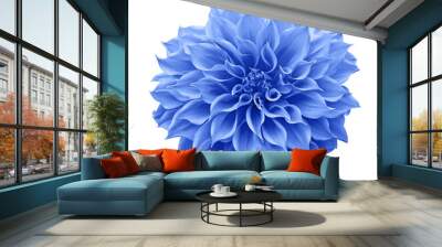 Blue Dahlia flower the tuberous garden plant isolated on white background with clipping path, blue Dahlia is a symbol of a new beginning and a new chapter. Wall mural