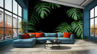 Dark green leaves of native Monstera the tropical forest plant evergreen vines, nature leaf frame on black background. Wall mural