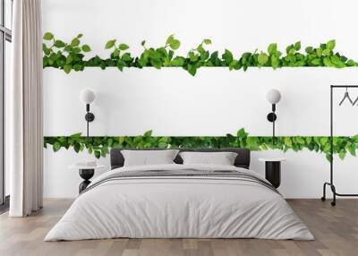 green leaves nature frame border of devil's ivy or golden pothos the tropical foliage plant on white Wall mural