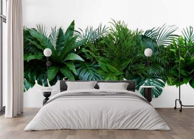 Green leaves of tropical plants bush (Monstera, palm, rubber plant, pine, bird’s nest fern) floral arrangement indoors garden nature backdrop isolated on white background, clipping path included. Wall mural