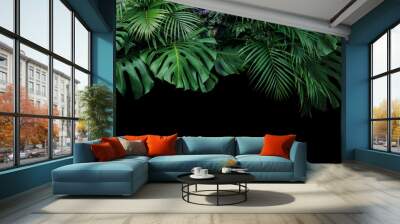 Monstera, fern, and palm leaves tropical foliage plant bush nature backdrop on black background. Wall mural