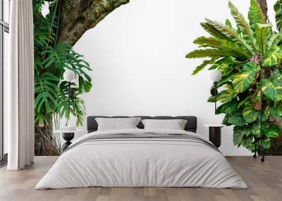 Nature frame of jungle trees with tropical rainforest foliage plants (Monstera, bird’s nest fern, golden pothos and forest orchid) growing in wild isolated on white background with clipping path. Wall mural