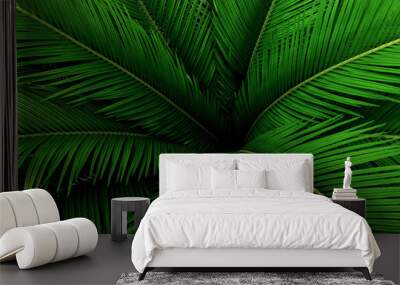 Palm leaves green pattern, abstract tropical background. Wall mural