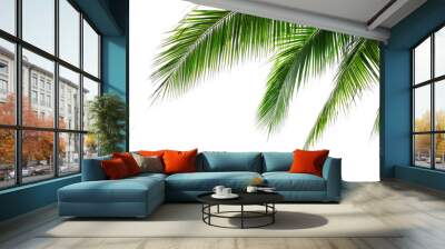 Tropical beach coconut palm tree leaves isolated on white background, green palm fronds layout for summer and tropical nature concepts. Wall mural