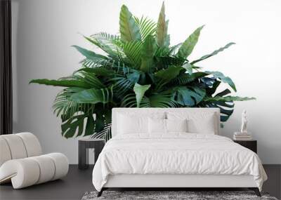 Tropical foliage plant bush (Monstera, palm leaves, and Bird's nest fern) floral arrangement indoors garden nature backdrop isolated on white with clipping path.. Wall mural