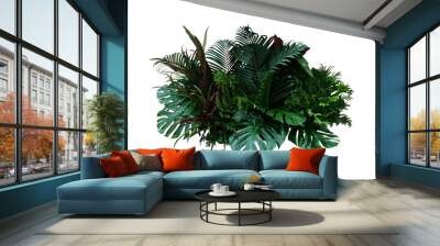 Tropical foliage plant bush (Monstera, palm leaves, Calathea, Cordyline or Hawaiian Ti plant, ferns, and fir) floral arrangement indoors garden nature backdrop isolated on white with clipping path. Wall mural