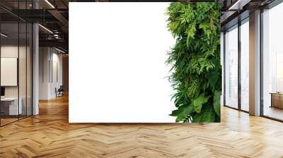 Tropical leaves foliage plant bush, vertical green wall nature backdrop border on white background with clipping path. Wall mural