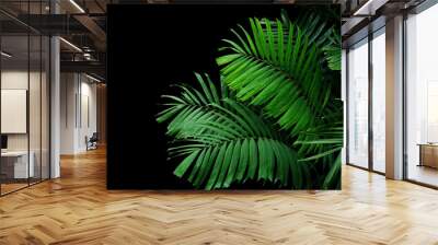 Tropical palm leaves, rainforest foliage nature plant bush on black background. Wall mural