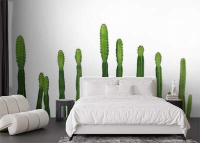 Tropical succulent plant Cowboy cactus (Euphorbia Ingens) Wall mural