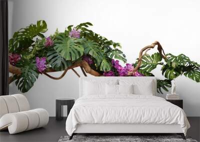 Tropical vibes plant bush floral arrangement with tropical leaves Monstera and fern and Vanda orchids tropical flower decor on tree branch liana vine plant Wall mural