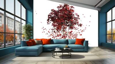 A japanese maple tree Acer palmatum, in red autumn colors, loosing leaves, with foliage both on the ground and flying around. 3D illustration with transparent background.  Wall mural