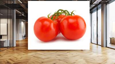 fresh tomatoes on white background Wall mural