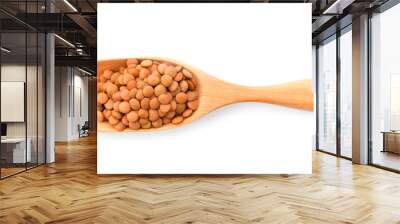 Brown Lentils in wood scoop isolated on white background Wall mural