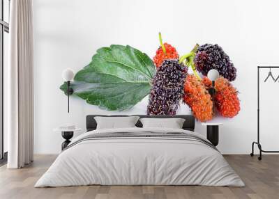 Mulberry on white background Wall mural