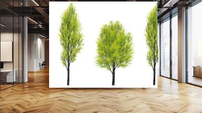 Collection of abstract watercolor tree side view isolated on white background  for landscape and architecture layout drawing, elements for environment and garden Wall mural