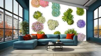 Collection of abstract watercolor tree top view isolated on white background  for landscape plan and architecture layout drawing, elements for environment and garden, blossom grass illustration,flower Wall mural